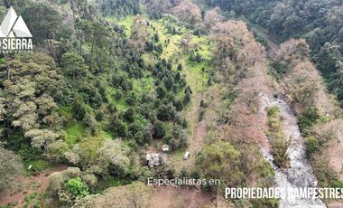 FINCA CON BOSQUE Y RÍO DE 25 HECTÁREAS