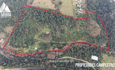 FINCA CON BOSQUE Y RÍO DE 25 HECTÁREAS