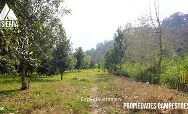 FINCA CON BOSQUE Y RÍO DE 25 HECTÁREAS