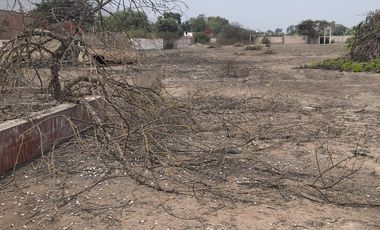 Calle 8 - PARCELLA 48 Mz. O, Lt. 1, Urb. CASA BLANCA,  CERCA GLORIA DEL CAMPO