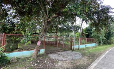 House and Lot for Sale located in Songculan, Dauis, Panglao Island, Bohol