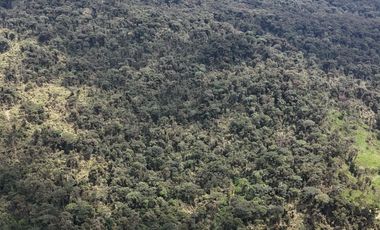 PROPIEDAD EN VENTA, COSANGA, 46800M2.