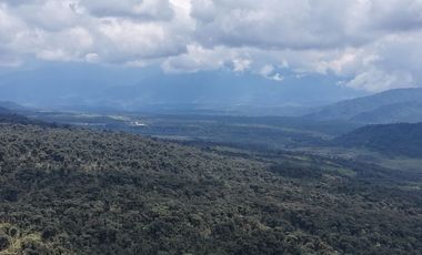 PROPIEDAD EN VENTA, COSANGA, 46800M2.