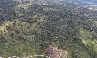 PROPIEDAD EN VENTA, COSANGA, 46800M2.