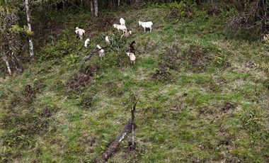 PROPIEDAD EN VENTA, COSANGA, 46800M2.