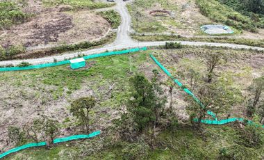 PROPIEDAD EN VENTA, COSANGA, 46800M2.