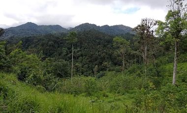 FINCA EN PACTO DE 44 HRAS DE VENTA