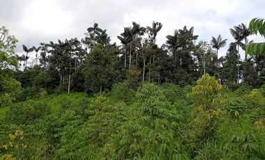 FINCA EN PACTO DE 44 HRAS DE VENTA