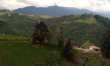 VENDO HERMOSO APARTAMENTO EDIFICIO RESERVA MILÁN, MANIZALES