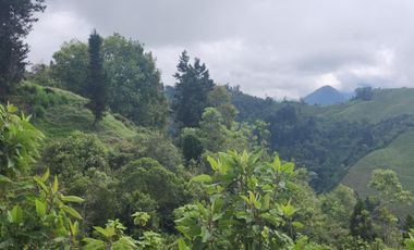 VENDO HERMOSO APARTAMENTO EDIFICIO RESERVA MILÁN, MANIZALES