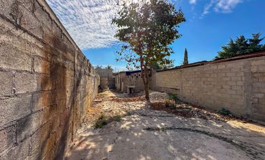 Terreno Agave
