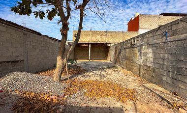 Terreno Agave