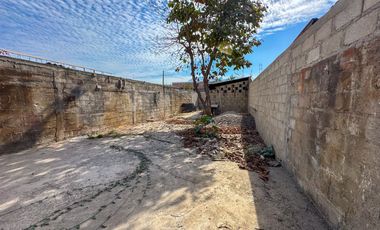 Terreno Agave