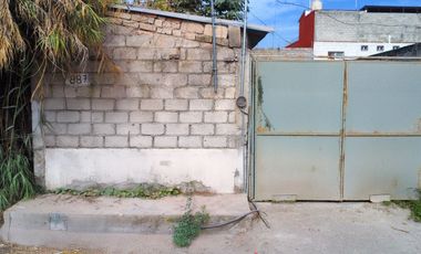 Terreno Agave