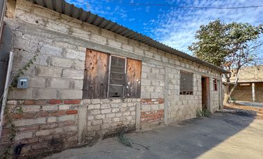Terreno Agave