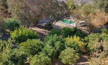 PARCELA DE 15.000 M2 CON CASA Y GRAN VARIEDAD DE FRUTALES