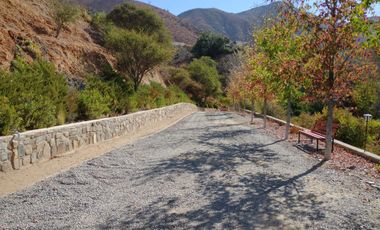 PARCELA DE 15.000 M2 CON CASA Y GRAN VARIEDAD DE FRUTALES