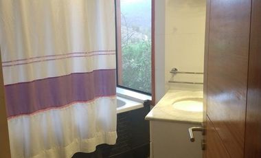 PARCELA DE 15.000 M2 CON CASA Y GRAN VARIEDAD DE FRUTALES