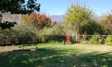 PARCELA DE 15.000 M2 CON CASA Y GRAN VARIEDAD DE FRUTALES