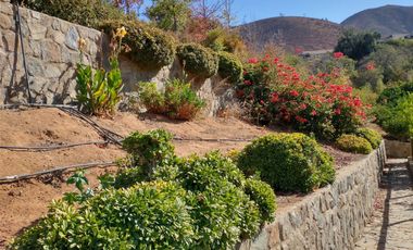 PARCELA DE 15.000 M2 CON CASA Y GRAN VARIEDAD DE FRUTALES