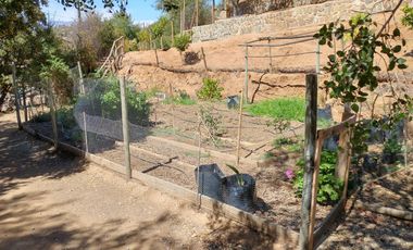 PARCELA DE 15.000 M2 CON CASA Y GRAN VARIEDAD DE FRUTALES