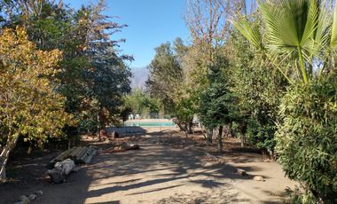 PARCELA DE 15.000 M2 CON CASA Y GRAN VARIEDAD DE FRUTALES