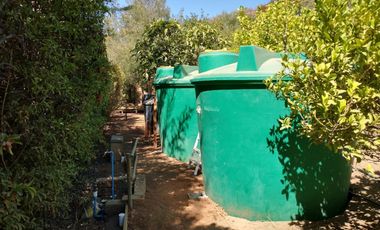 PARCELA DE 15.000 M2 CON CASA Y GRAN VARIEDAD DE FRUTALES