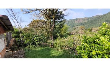 Venta Finca Cafetera y Agrícola Pueblorrico Antioquia