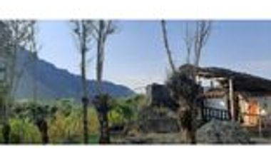 Venta Finca Cafetera y Agrícola Pueblorrico Antioquia