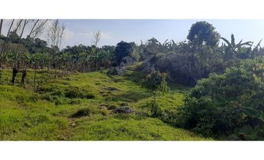 Venta Finca Cafetera y Agrícola Pueblorrico Antioquia