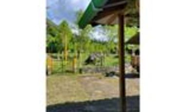 Venta Finca Cafetera y Agrícola Pueblorrico Antioquia