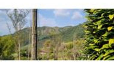 Venta Finca Cafetera y Agrícola Pueblorrico Antioquia