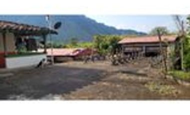 Venta Finca Cafetera y Agrícola Pueblorrico Antioquia