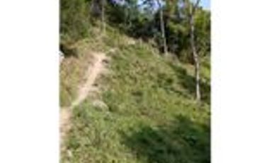 Venta Finca Ganadera en Santa Bárbara Antioquia