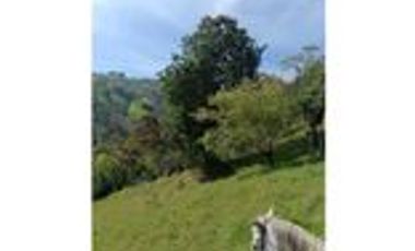 Venta Finca Ganadera en Santa Bárbara Antioquia