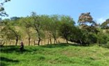 Venta Finca Ganadera en Santa Bárbara Antioquia