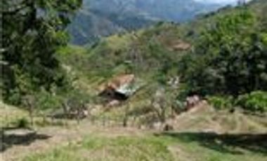 Venta Finca Ganadera en Santa Bárbara Antioquia