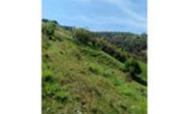 Venta Finca Ganadera en Santa Bárbara Antioquia