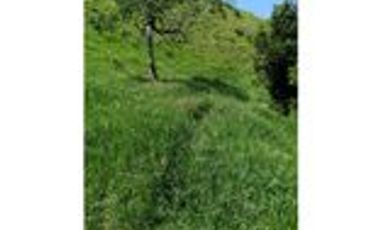 Venta Finca Ganadera en Santa Bárbara Antioquia