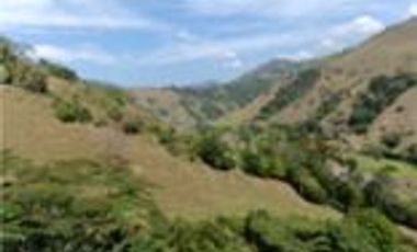 Venta Finca Ganadera en Santa Bárbara Antioquia