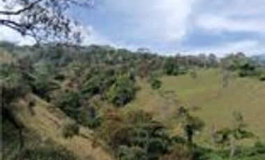 Venta Finca Ganadera en Santa Bárbara Antioquia