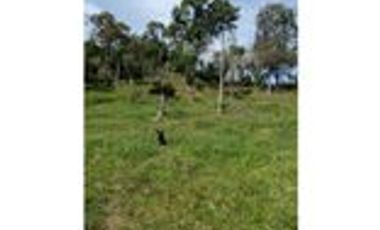 Venta Finca Ganadera en Santa Bárbara Antioquia