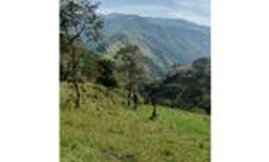 Venta Finca Ganadera en Santa Bárbara Antioquia