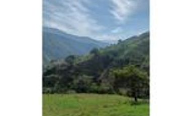 Venta Finca Ganadera en Santa Bárbara Antioquia