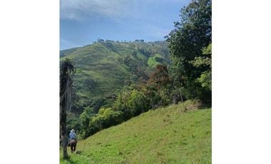 Venta Finca Ganadera en Santa Bárbara Antioquia