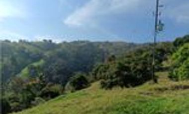 Venta Finca Ganadera en Santa Bárbara Antioquia