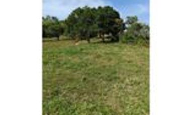 Venta Finca Ganadera en Santa Bárbara Antioquia