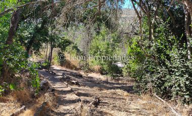 Leon Propiedades vende parcela en condominio en sector Miraflores, Curacaví.