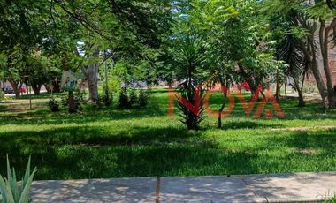 ALQUILER DE DEPARTAMENTO EN URBANIZACIÓN SULTANA, A ESPALDAS DE PTE BLANCO - ICA