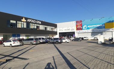 Renta Local Plaza 11 Sur Castillotla